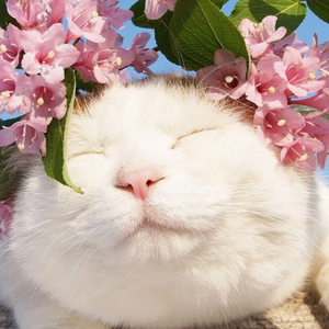 中文AV免费一区二区三区
